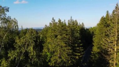 Yaz Saastal Saas-Fee İsviçre hava aracı dağ dronu karaçam ormanı kozalaklı üst bulutlar İsviçre Alpleri dağ zirveleri vadi drone hareketi