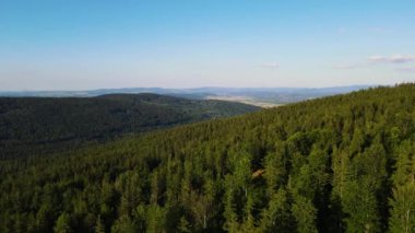 Yaz Saastal Saas-Fee İsviçre hava aracı dağ dronu karaçam ormanı kozalaklı üst bulutlar İsviçre Alpleri dağ zirveleri vadi drone hareketi