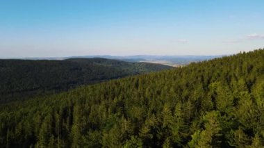 Yaz Saastal Saas-Fee İsviçre hava aracı dağ dronu karaçam ormanı kozalaklı üst bulutlar İsviçre Alpleri dağ zirveleri vadi drone hareketi