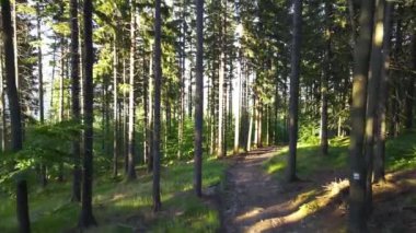 Yaz Saastal Saas-Fee İsviçre hava aracı dağ dronu karaçam ormanı kozalaklı üst bulutlar İsviçre Alpleri dağ zirveleri vadi drone hareketi