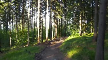 Yaz Saastal Saas-Fee İsviçre hava aracı dağ dronu karaçam ormanı kozalaklı üst bulutlar İsviçre Alpleri dağ zirveleri vadi drone hareketi