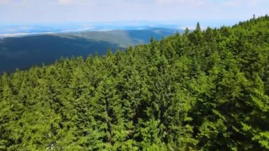 Yaz Saastal Saas-Fee İsviçre hava aracı dağ dronu karaçam ormanı kozalaklı üst bulutlar İsviçre Alpleri dağ zirveleri vadi drone hareketi