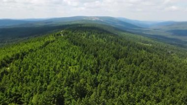 Yaz Saastal Saas-Fee İsviçre hava aracı dağ dronu karaçam ormanı kozalaklı üst bulutlar İsviçre Alpleri dağ zirveleri vadi drone hareketi