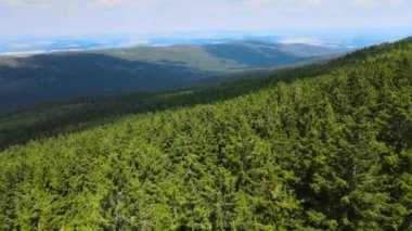 Yaz Saastal Saas-Fee İsviçre hava aracı dağ dronu karaçam ormanı kozalaklı üst bulutlar İsviçre Alpleri dağ zirveleri vadi drone hareketi