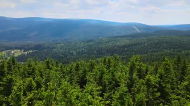 Yaz Saastal Saas-Fee İsviçre hava aracı dağ dronu karaçam ormanı kozalaklı üst bulutlar İsviçre Alpleri dağ zirveleri vadi drone hareketi