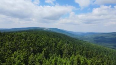 Yaz Saastal Saas-Fee İsviçre hava aracı dağ dronu karaçam ormanı kozalaklı üst bulutlar İsviçre Alpleri dağ zirveleri vadi drone hareketi