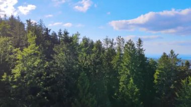 Yaz Saastal Saas-Fee İsviçre hava aracı dağ dronu karaçam ormanı kozalaklı üst bulutlar İsviçre Alpleri dağ zirveleri vadi drone hareketi