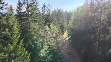 Yaz Saastal Saas-Fee İsviçre hava aracı dağ dronu karaçam ormanı kozalaklı üst bulutlar İsviçre Alpleri dağ zirveleri vadi drone hareketi