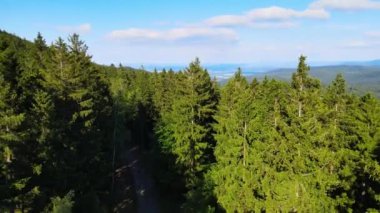 Yaz Saastal Saas-Fee İsviçre hava aracı dağ dronu karaçam ormanı kozalaklı üst bulutlar İsviçre Alpleri dağ zirveleri vadi drone hareketi