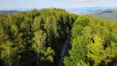 Almanya 'nın insansız hava aracı manzaralı orman yolları.