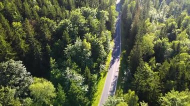 Almanya 'nın insansız hava aracı manzaralı orman yolları.