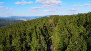 Almanya 'nın insansız hava aracı manzaralı orman yolları.
