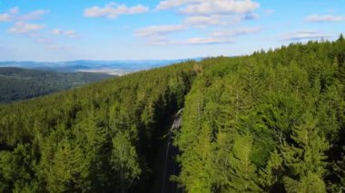 Almanya 'nın insansız hava aracı manzaralı orman yolları.