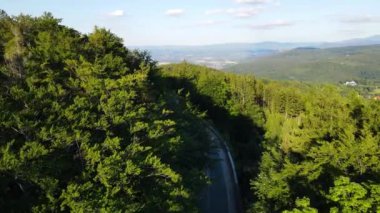 Almanya 'nın insansız hava aracı manzaralı orman yolları.