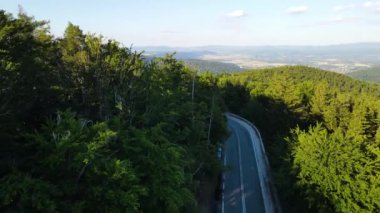 Almanya 'nın insansız hava aracı manzaralı orman yolları.