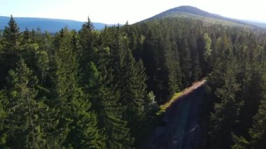 Almanya 'nın insansız hava aracı manzaralı orman yolları.