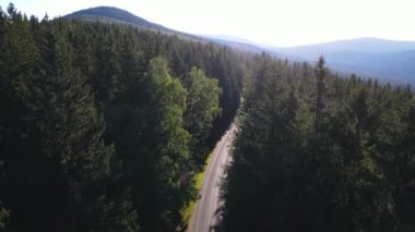 Almanya 'nın insansız hava aracı manzaralı orman yolları.