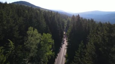 Almanya 'nın insansız hava aracı manzaralı orman yolları.