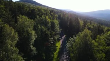Almanya 'nın insansız hava aracı manzaralı orman yolları.