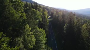 Almanya 'nın insansız hava aracı manzaralı orman yolları.