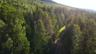 Almanya 'nın insansız hava aracı manzaralı orman yolları.