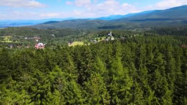 Almanya 'nın kozalaklı ormanları insansız hava aracı yazından görünüyor