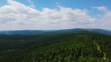 Almanya 'nın kozalaklı ormanları insansız hava aracı yazından görünüyor