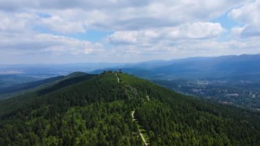 Almanya 'nın kozalaklı ormanları insansız hava aracı yazından görünüyor