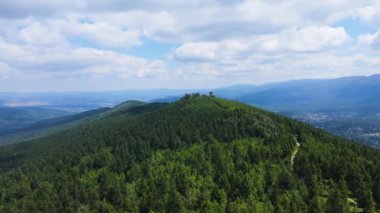 Almanya 'nın kozalaklı ormanları insansız hava aracı yazından görünüyor