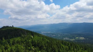 Almanya 'nın kozalaklı ormanları insansız hava aracı yazından görünüyor