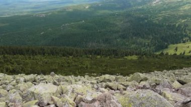 Yükselen kaya oluşumları, Almanya 'daki Sakson İsviçre Dağları' nda açık bir gökyüzünün altında yemyeşil bir ormanın ortasında duruyor..