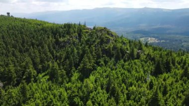 Yükselen kaya oluşumları, Almanya 'daki Sakson İsviçre Dağları' nda açık bir gökyüzünün altında yemyeşil bir ormanın ortasında duruyor..