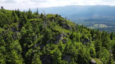 Yükselen kaya oluşumları, Almanya 'daki Sakson İsviçre Dağları' nda açık bir gökyüzünün altında yemyeşil bir ormanın ortasında duruyor..