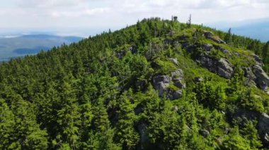 Yükselen kaya oluşumları, Almanya 'daki Sakson İsviçre Dağları' nda açık bir gökyüzünün altında yemyeşil bir ormanın ortasında duruyor..