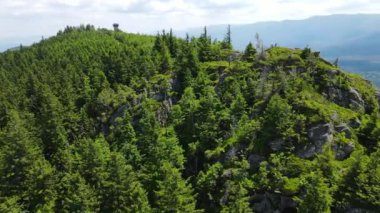 Yükselen kaya oluşumları, Almanya 'daki Sakson İsviçre Dağları' nda açık bir gökyüzünün altında yemyeşil bir ormanın ortasında duruyor..