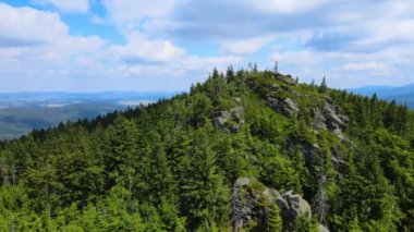 Yükselen kaya oluşumları, Almanya 'daki Sakson İsviçre Dağları' nda açık bir gökyüzünün altında yemyeşil bir ormanın ortasında duruyor..