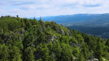 Yükselen kaya oluşumları, Almanya 'daki Sakson İsviçre Dağları' nda açık bir gökyüzünün altında yemyeşil bir ormanın ortasında duruyor..