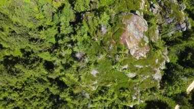 Yükselen kaya oluşumları, Almanya 'daki Sakson İsviçre Dağları' nda açık bir gökyüzünün altında yemyeşil bir ormanın ortasında duruyor..