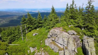 Yükselen kaya oluşumları, Almanya 'daki Sakson İsviçre Dağları' nda açık bir gökyüzünün altında yemyeşil bir ormanın ortasında duruyor..