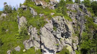 Yükselen kaya oluşumları, Almanya 'daki Sakson İsviçre Dağları' nda açık bir gökyüzünün altında yemyeşil bir ormanın ortasında duruyor..