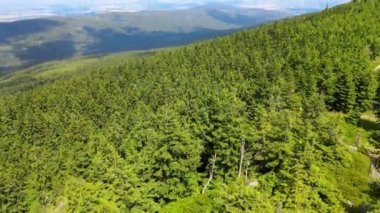 Yükselen kaya oluşumları, Almanya 'daki Sakson İsviçre Dağları' nda açık bir gökyüzünün altında yemyeşil bir ormanın ortasında duruyor..