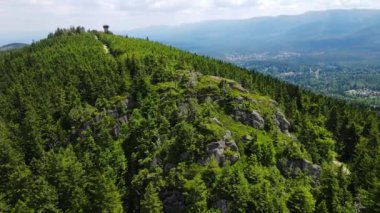 Yükselen kaya oluşumları, Almanya 'daki Sakson İsviçre Dağları' nda açık bir gökyüzünün altında yemyeşil bir ormanın ortasında duruyor..