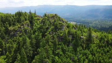 Yükselen kaya oluşumları, Almanya 'daki Sakson İsviçre Dağları' nda açık bir gökyüzünün altında yemyeşil bir ormanın ortasında duruyor..