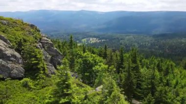 Yükselen kaya oluşumları, Almanya 'daki Sakson İsviçre Dağları' nda açık bir gökyüzünün altında yemyeşil bir ormanın ortasında duruyor..