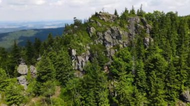 Yükselen kaya oluşumları, Almanya 'daki Sakson İsviçre Dağları' nda açık bir gökyüzünün altında yemyeşil bir ormanın ortasında duruyor..