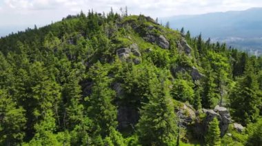 Yükselen kaya oluşumları, Almanya 'daki Sakson İsviçre Dağları' nda açık bir gökyüzünün altında yemyeşil bir ormanın ortasında duruyor..