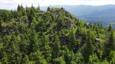 Yükselen kaya oluşumları, Almanya 'daki Sakson İsviçre Dağları' nda açık bir gökyüzünün altında yemyeşil bir ormanın ortasında duruyor..