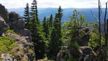 Yükselen kaya oluşumları, Almanya 'daki Sakson İsviçre Dağları' nda açık bir gökyüzünün altında yemyeşil bir ormanın ortasında duruyor..