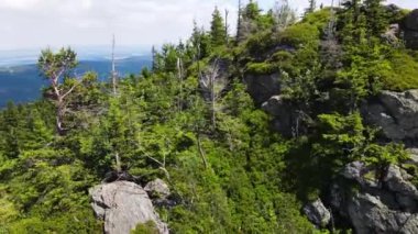 Yükselen kaya oluşumları, Almanya 'daki Sakson İsviçre Dağları' nda açık bir gökyüzünün altında yemyeşil bir ormanın ortasında duruyor..
