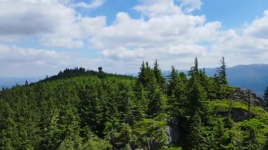 Yükselen kaya oluşumları, Almanya 'daki Sakson İsviçre Dağları' nda açık bir gökyüzünün altında yemyeşil bir ormanın ortasında duruyor..